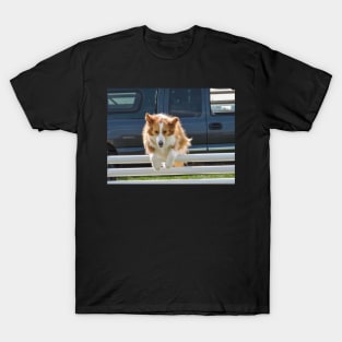 Dog jumping T-Shirt